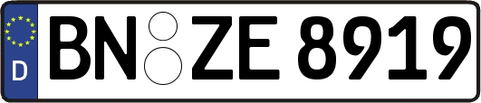 BN-ZE8919