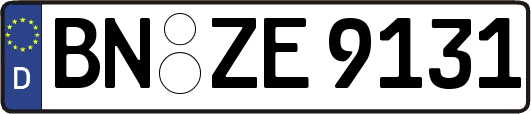 BN-ZE9131