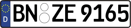 BN-ZE9165