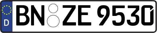 BN-ZE9530