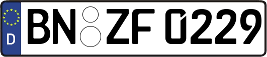BN-ZF0229