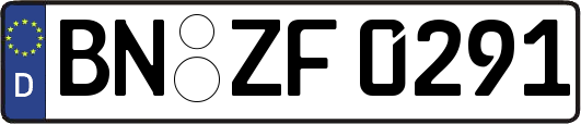 BN-ZF0291