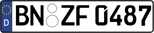 BN-ZF0487
