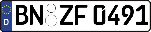 BN-ZF0491