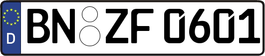 BN-ZF0601