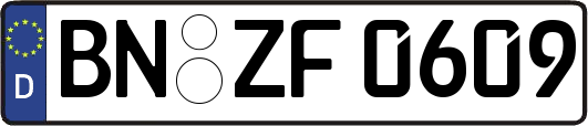 BN-ZF0609