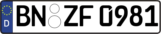 BN-ZF0981