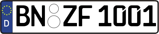 BN-ZF1001