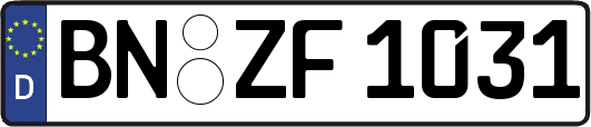 BN-ZF1031