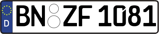 BN-ZF1081