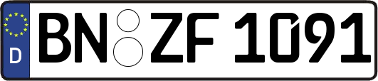BN-ZF1091