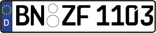 BN-ZF1103