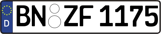 BN-ZF1175