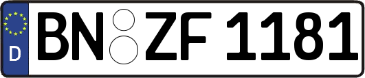 BN-ZF1181