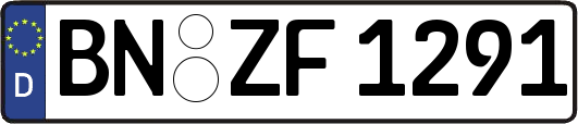 BN-ZF1291