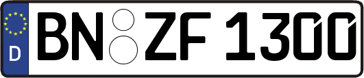 BN-ZF1300