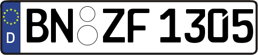 BN-ZF1305