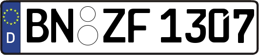 BN-ZF1307