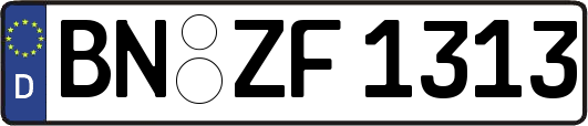 BN-ZF1313