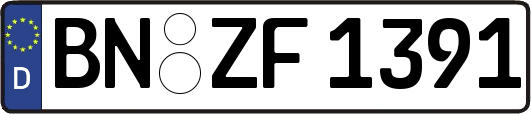 BN-ZF1391
