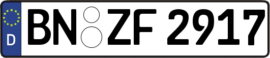 BN-ZF2917