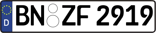 BN-ZF2919