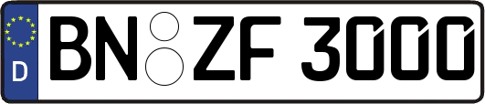 BN-ZF3000