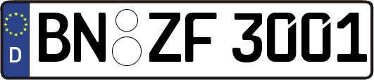 BN-ZF3001
