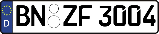 BN-ZF3004