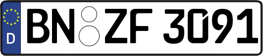 BN-ZF3091