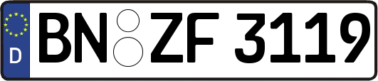 BN-ZF3119