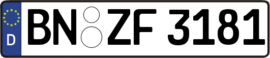 BN-ZF3181