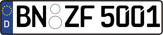 BN-ZF5001