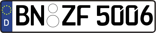 BN-ZF5006