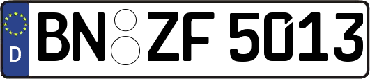 BN-ZF5013