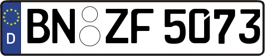BN-ZF5073