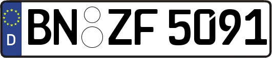 BN-ZF5091