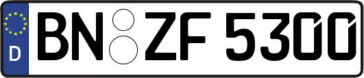 BN-ZF5300