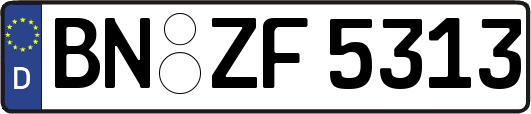 BN-ZF5313