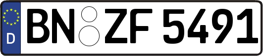 BN-ZF5491
