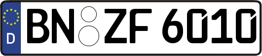 BN-ZF6010