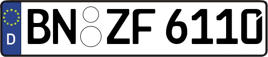 BN-ZF6110