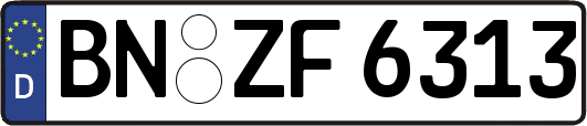 BN-ZF6313