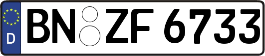 BN-ZF6733