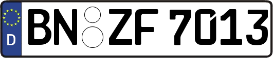 BN-ZF7013