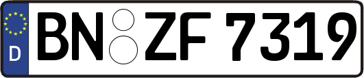 BN-ZF7319