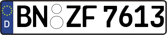 BN-ZF7613