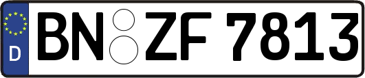 BN-ZF7813