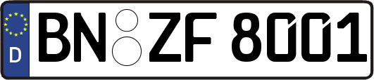 BN-ZF8001