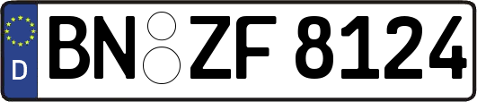 BN-ZF8124